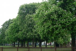 Wanstead - Christchurch Green