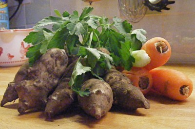 DSCF1243 Jerusalem Artichoke