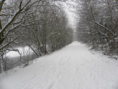 DSCN3897