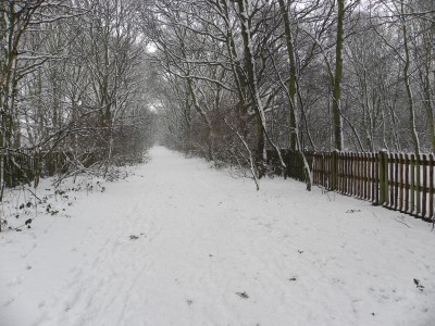 DSCN3926
