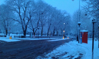 IMAG0232