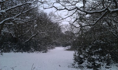 IMAG0264