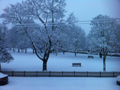 photo (3)